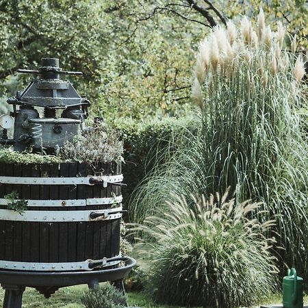 Villa Moselstrand 모젤케른 외부 사진