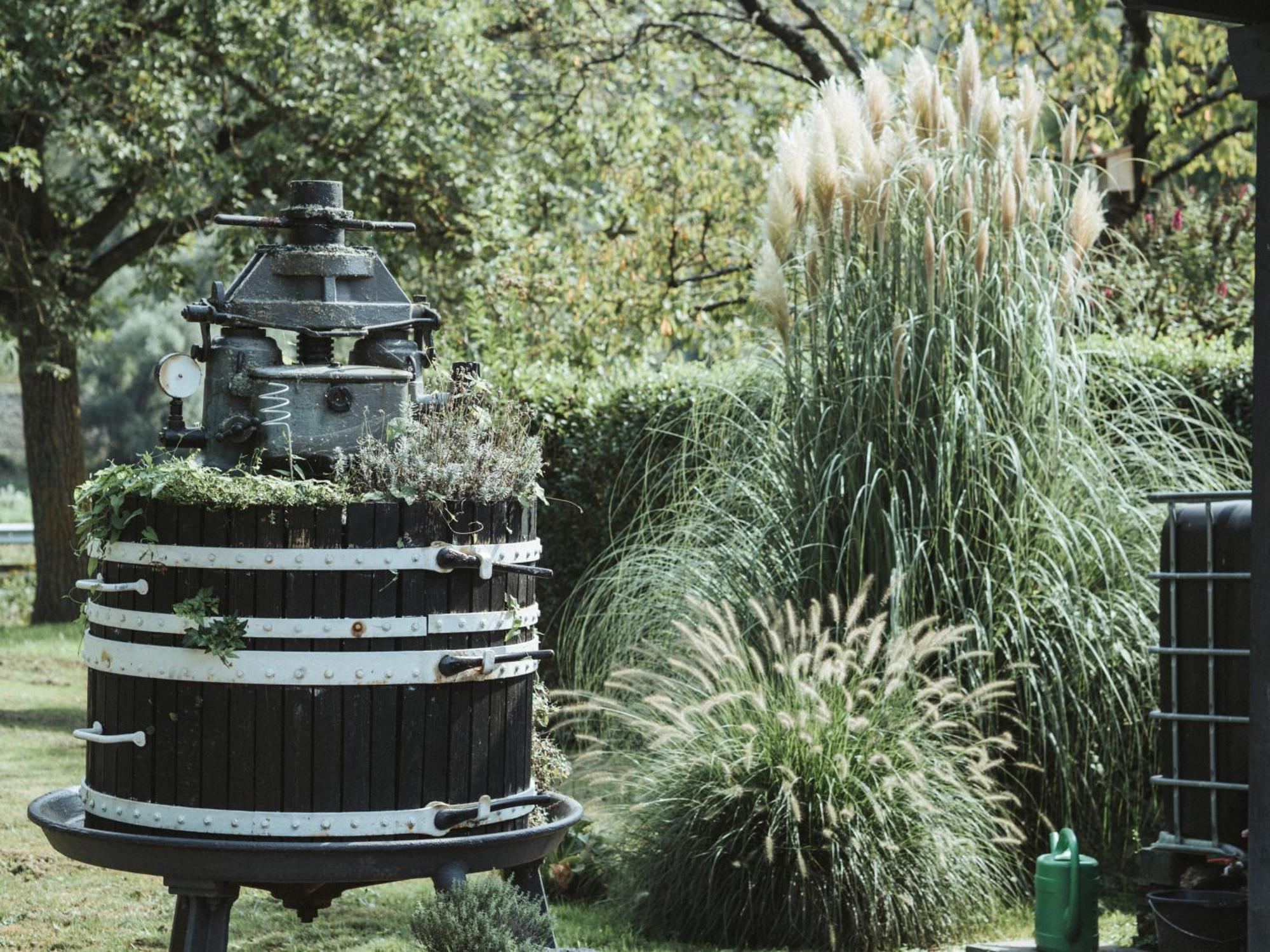 Villa Moselstrand 모젤케른 외부 사진